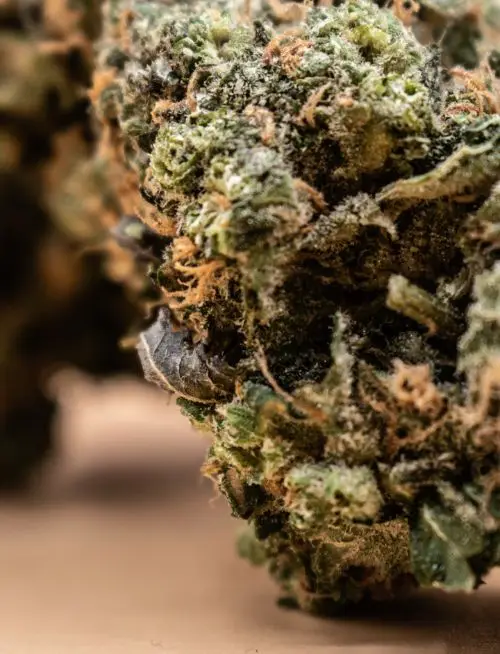 MK_Flower_Category - Montana Kush Flower category