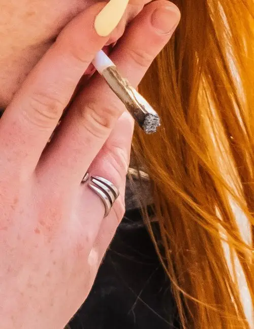 MK_Pre-Roll_Category - Montana Kush pre-rolls